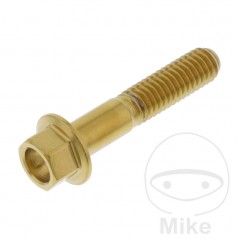 JMP Tornillo hexagonal de acero inoxidable M6X1.00 MM V4A 775.31.86VAR