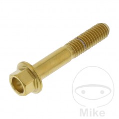 JMP Tornillo hexagonal de acero inoxidable M6X1.00 MM V4A 775.31.86VAR