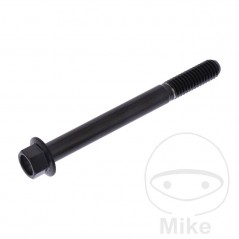 JMP Tornillo hexagonal de acero inoxidable M6X1.00 MM V4A 775.31.86VAR
