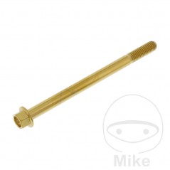 JMP Tornillo hexagonal de acero inoxidable M6X1.00 MM V4A 775.31.86VAR