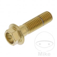 JMP Tornillo hexagonal de acero inoxidable M8X1.25 MM V4A 775.34.49VAR