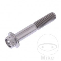 JMP Tornillo titanio cabeza hexagonal M8X1.25 MM RACING 775.70.87VAR