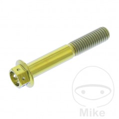 JMP Tornillo titanio cabeza hexagonal M8X1.25 MM RACING 775.70.87VAR