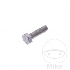 JMP Tornillo M8X1.25X30 MM 717.18.62