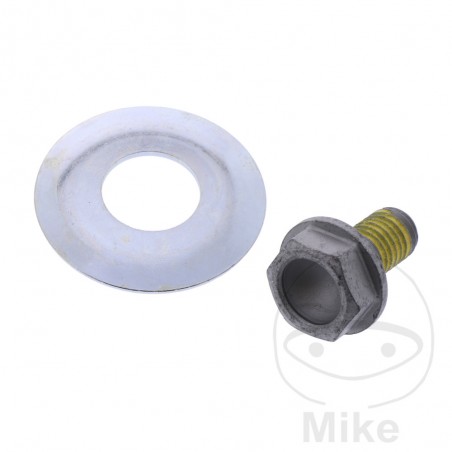 Screw with seal for pinion OEM 726.08.08