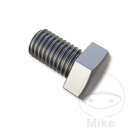 Exhaust system screw 378.49.94
