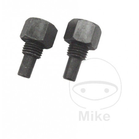 Camshaft pin set 6 MM 722.56.42