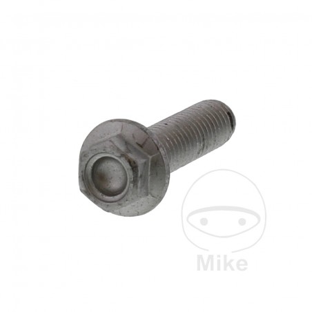Hexagonal screw OEM 30 MM M8X1.25 717.01.29