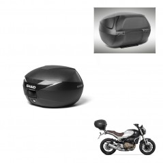 SHAD Trunk SH39 + mounting bracket backrest KIT-437368