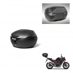 SHAD Baul SH39 + soporte montaje respaldo KIT-437408