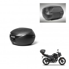 SHAD Baul SH39 carbon + soporte montaje respaldo KIT-438512