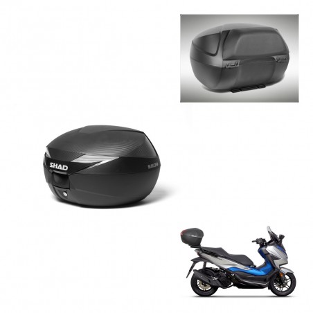 SHAD Baul SH39 carbon + soporte montaje respaldo KIT-438580