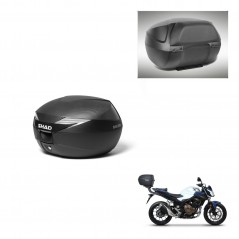 SHAD SH39 carbon trunk + mounting support backrest KIT-439106