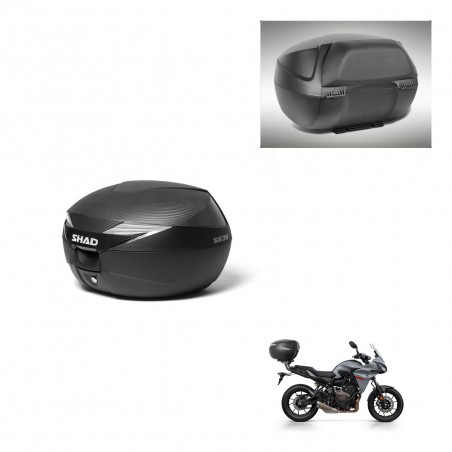 SHAD Baul SH39 carbon + soporte montaje respaldo KIT-439134