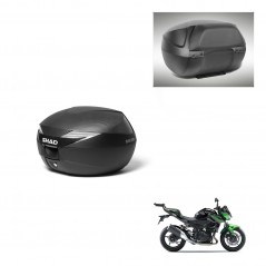 SHAD SH39 carbon trunk + mounting support backrest KIT-439162