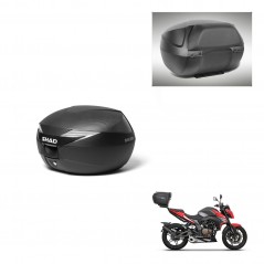 SHAD Baul SH39 carbon + soporte montaje respaldo KIT-439274