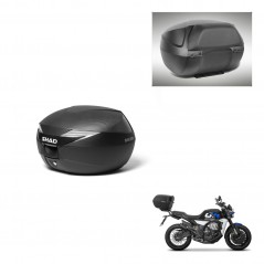 SHAD SH39 carbon trunk + mounting support backrest KIT-439434