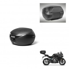 SHAD SH39 carbon trunk + mounting support backrest KIT-439450