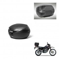 SHAD Baul SH39 carbon + soporte montaje respaldo KIT-439466
