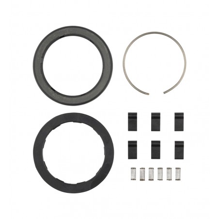 SRAM Kit trinquetes/muelles para bujes (6 unidades) ZIPP ZR1 108371