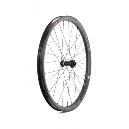 PROGRESS Rueda delantera bicicleta EB PLUS NEXO BOOST 15X110 PUEBI27BD
