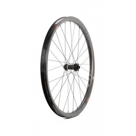 PROGRESS Rueda delantera bicicleta EB PLUS NEXO 29" BOOST 15X110 PUEBI29BD