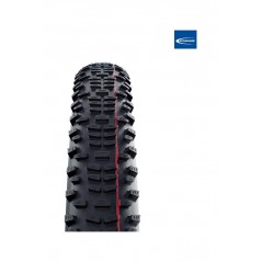 SCHWALBE Tire for bicycle RACING RALPH EVO SUPER RACE TLE 29X2.25 B/TS-SK TUBELESS READY 4026495879552