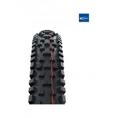 SCHWALBE Tire for bicycle NOBBY NIC EVO SUPER GROUND TLE 29X2.40 B/B-SK 4026495901239