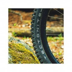 AMERICAN CLASSIC Tire for bicycle TECTONITE 64-622 5060914741654