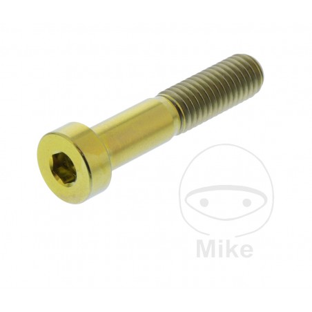 JMP Titanium hexagonal head cylindrical screw M8X1.25 MM 40 775.72.17