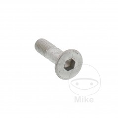 Tornillo avellanado OEM M8X1.25 MM 25 717.02.56