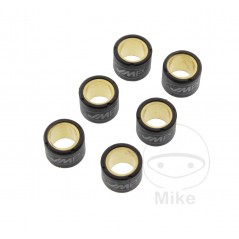 JMP Set of 6 variator rollers 5.7 G 16 X 13 MM 783.02.76