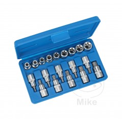 Set of 19 torx screwdriver bits 1/2 605.07.89