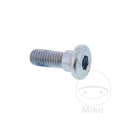 brake disc screw OEM 24 MM M8X1.25 7170271