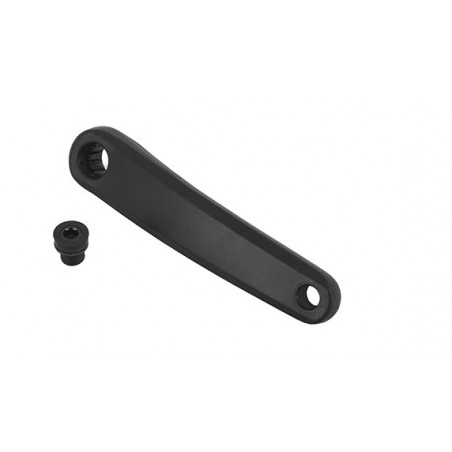 MASSI Biela izquierda QUORA 53639