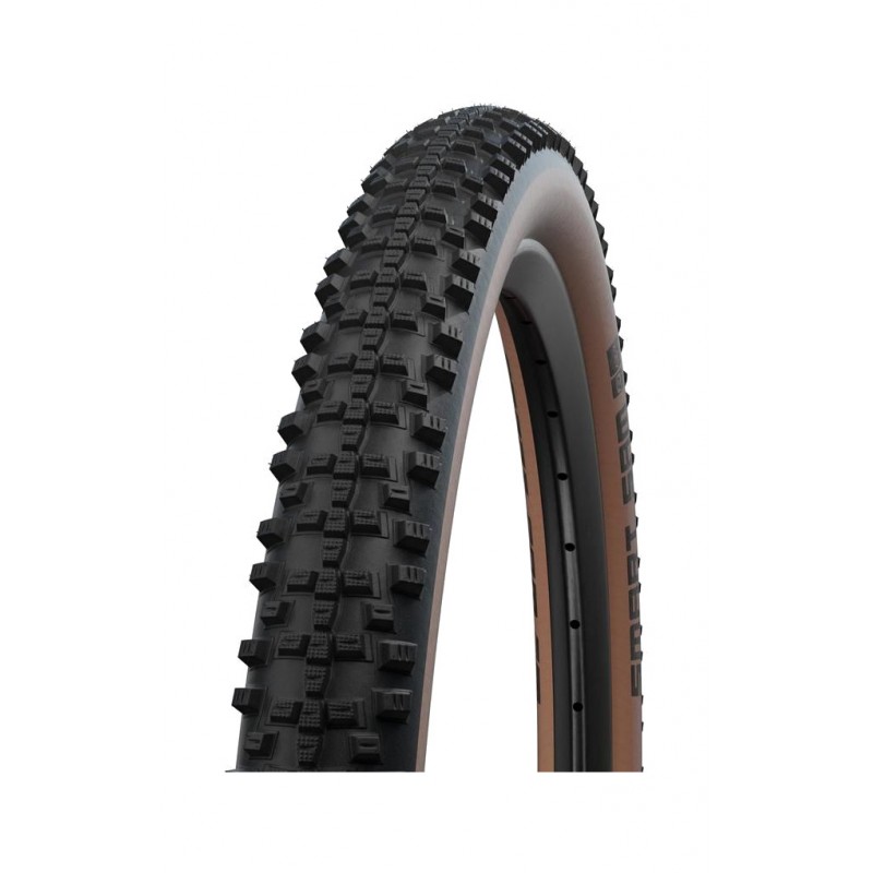 SCHWALBE Rally semicarenado SMART SAM HS624 PERFORMANCE LINE ADDIX (57-584) 723163