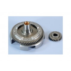 POLINI Primary development Z24-61 1126005