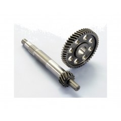 POLINI Primary gear development Z15/49 1126010