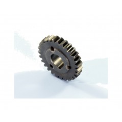 POLINI Primary gear development Z25 1126014