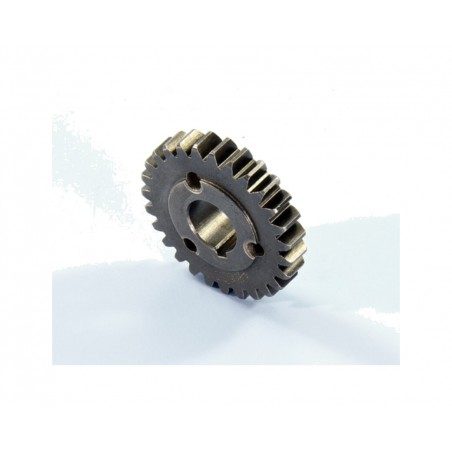 POLINI Primary gear development Z25 1126014