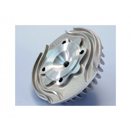 POLINI Engine head EVOLUTION 1126061