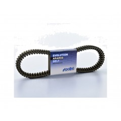 POLINI transmission band 1126119