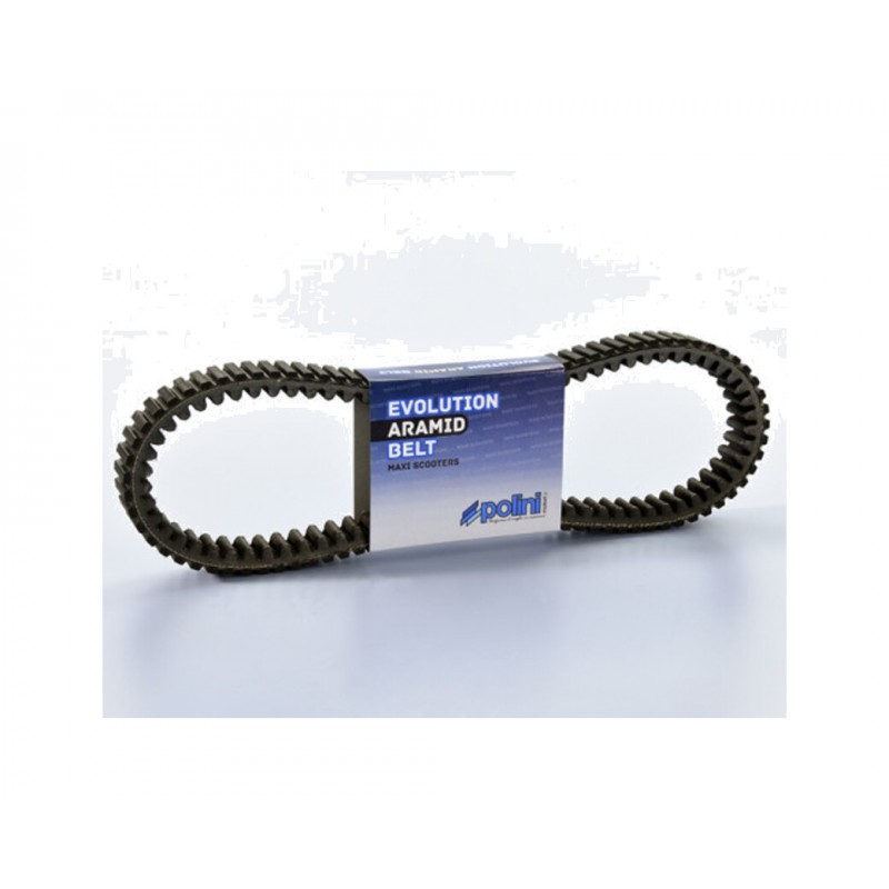 POLINI transmission band 1126119