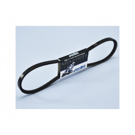 POLINI Correa de transmisión 1126120