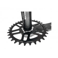 PRAXIS Bicycle transmission crown plate 40T DIRECT MOUNT 850033390681