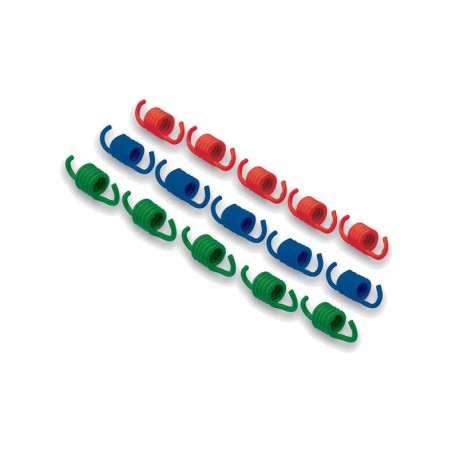 MALOSSI Clutch spring kit 1106977