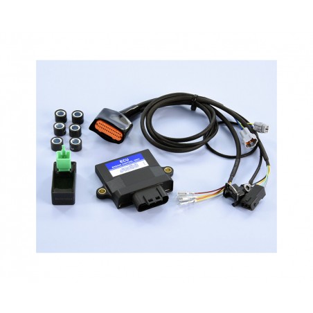 POLINI Switchboard ECU 1127782