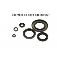 CENTAURO Crankshaft seal kit 1127933