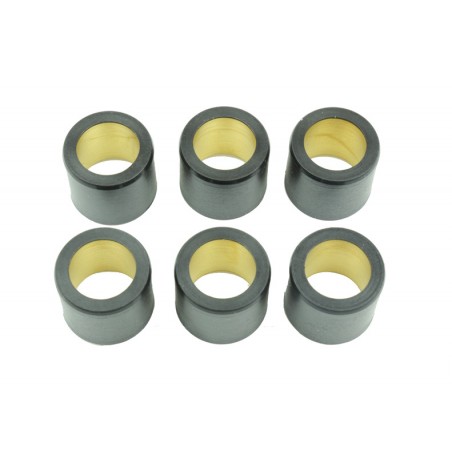 ATHENA Rodillos de variador 25X22,2MM 30GR - 6U 1014421