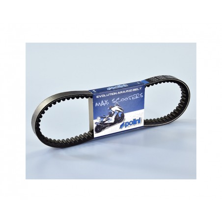 POLINI Correa de transmisión 1128246